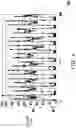 Fig. 05 - Image analysis method and image analysis system
