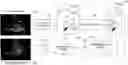 Fig. 01 - Robust segmentation through high-level image understanding