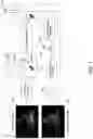 Fig. 06 - Robust segmentation through high-level image understanding