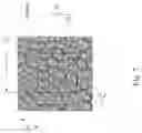 Fig. 08 - Method for analyzing biological-tissue image and system for analyzing biological-tissue image