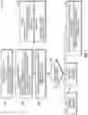 Fig. 04 - System and method for automatic detection of vertebral fractures on imaging scans using deep networks