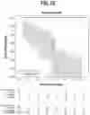 Fig. 13 - ARTIFICIAL INTELLIGENCE PREDICTION OF PROSTATE CANCER OUTCOMES