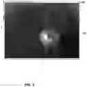 Fig. 03 - Spectral-spatial imaging device