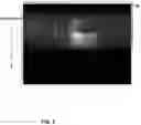 Fig. 04 - Spectral-spatial imaging device
