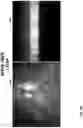 Fig. 09 - Spectral-spatial imaging device