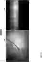 Fig. 10 - Spectral-spatial imaging device