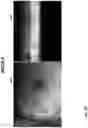 Fig. 11 - Spectral-spatial imaging device
