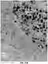 Fig. 28 - Quantitation of signal in stain aggregates
