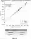 Fig. 29 - Quantitation of signal in stain aggregates