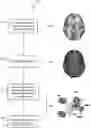 Fig. 01 - Methods and apparatus for detecting injury using multiple types of magnetic resonance imaging data
