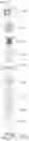Fig. 12 - Method for automatically segmenting teeth