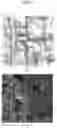 Fig. 06 - Method and system for visual localization