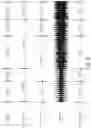 Fig. 19 - Automated dance animation