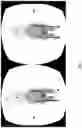 Fig. 06 - Systems and methods for displaying stereoscopic rendered image data captured from multiple perspectives