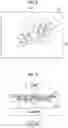 Fig. 07 - Learning apparatus, learning method, and learning program, graph structure extraction apparatus, graph structure extraction method, and graph structure extraction program, and learned extraction model