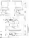 Fig. 02 - Image identification apparatus, image identification method, training apparatus, and neural network having sub-neural networks respectively inputted with mutually different data