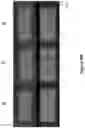 Fig. 19 - License plate reading system with enhancements