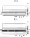 Fig. 14 - Fingerprint sensor and display device including the same