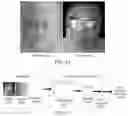 Fig. 10 - Face liveness detection method and related apparatus