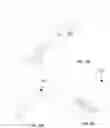 Fig. 19 - CONCEALABLE VISUAL INDICATOR