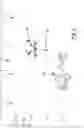 Fig. 04 - COLLECTIVE ANOMALY DETECTION SYSTEMS AND METHODS