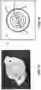 Fig. 18 - Lighting fixture data hubs and systems and methods to use the same