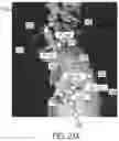 Fig. 47 - Use of robotic surgical data for training