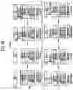 Fig. 14 - Display device and method of driving the same