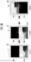 Fig. 15 - Display device and method of driving the same