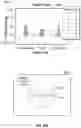 Fig. 102 - Depth based foveated rendering for display systems