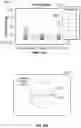 Fig. 103 - Depth based foveated rendering for display systems