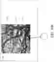 Fig. 78 - Depth based foveated rendering for display systems