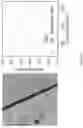 Fig. 16 - Methods and systems for real-time sound propagation estimation