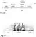 Fig. 05 - Network device interaction by range