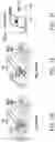 Fig. 04 - Ferroelectric FET-based content addressable memory