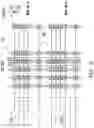Fig. 08 - Ferroelectric FET-based content addressable memory