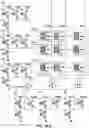 Fig. 24 - Resistive change element arrays