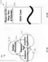 Fig. 08 - System and method for verifying and analyzing memory for high performance computing systems