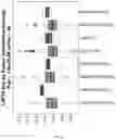 Fig. 07 - METHODS AND SYSTEMS FOR DETECTING GENETIC FUSIONS TO IDENTIFY A LUNG DISORDER