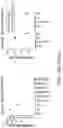 Fig. 41 - NEOANTIGEN IDENTIFICATION USING HOTSPOTS