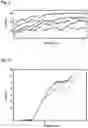 Fig. 05 - Method and apparatus for investigating intra- and/or intermolecular interactions involving RNA