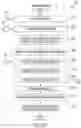 Fig. 32 - AUTOMATICALLY PRE-CONSTRUCTING A CLINICAL CONSULTATION NOTE DURING A PATIENT INTAKE/ADMISSION PROCESS