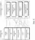 Fig. 05 - Surgery evaluation using machine-learning-based surgical video analysis