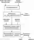 Fig. 01 - Mirror image apps device comprises plurality of sensors acquire video and audio data to determine first expression, software and system, and methods of operating same
