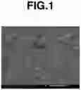 Fig. 02 - Method for Manufacturing Rare Earth Sintered Magnet