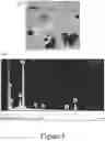 Fig. 08 - Materials for stabilizing semiconductors and methods of making the same