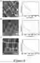 Fig. 09 - Nanostructured devices having perovskite nanocrystal layer for photodetection, optical memory, and neuromorphic functionality