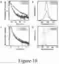 Fig. 13 - Nanostructured devices having perovskite nanocrystal layer for photodetection, optical memory, and neuromorphic functionality