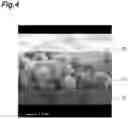 Fig. 05 - Method for producing phosphor panel, phosphor panel, image intensifier and scanning-type electronic microscope