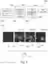 Fig. 04 - Automated operational control of micro-tooling devices
